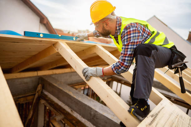 Best Metal Roofing Contractor  in Lomira, WI