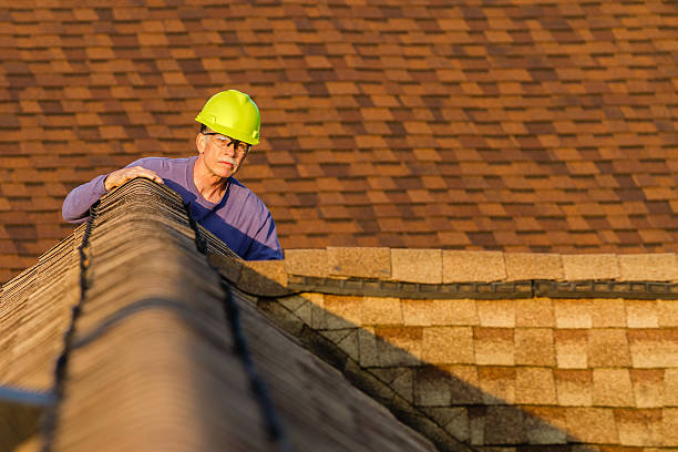 Best Roof Leak Repair  in Lomira, WI