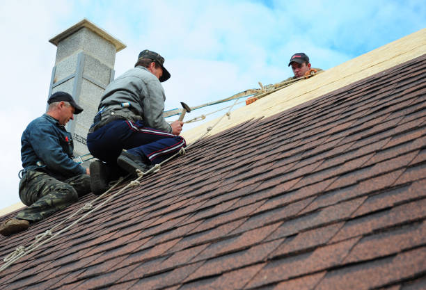 Best Roofing Contractor Near Me  in Lomira, WI