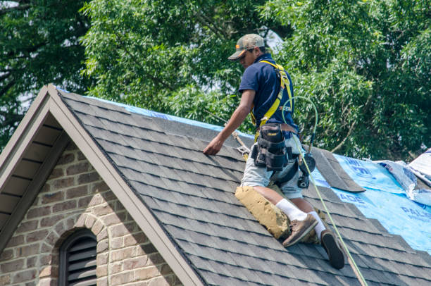 Best Residential Roofing Contractor  in Lomira, WI