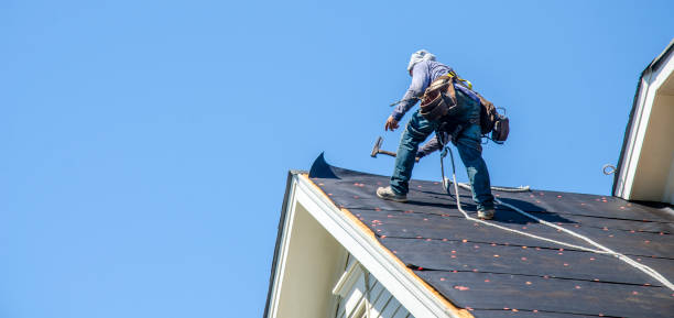 Best Roof Restoration Services  in Lomira, WI